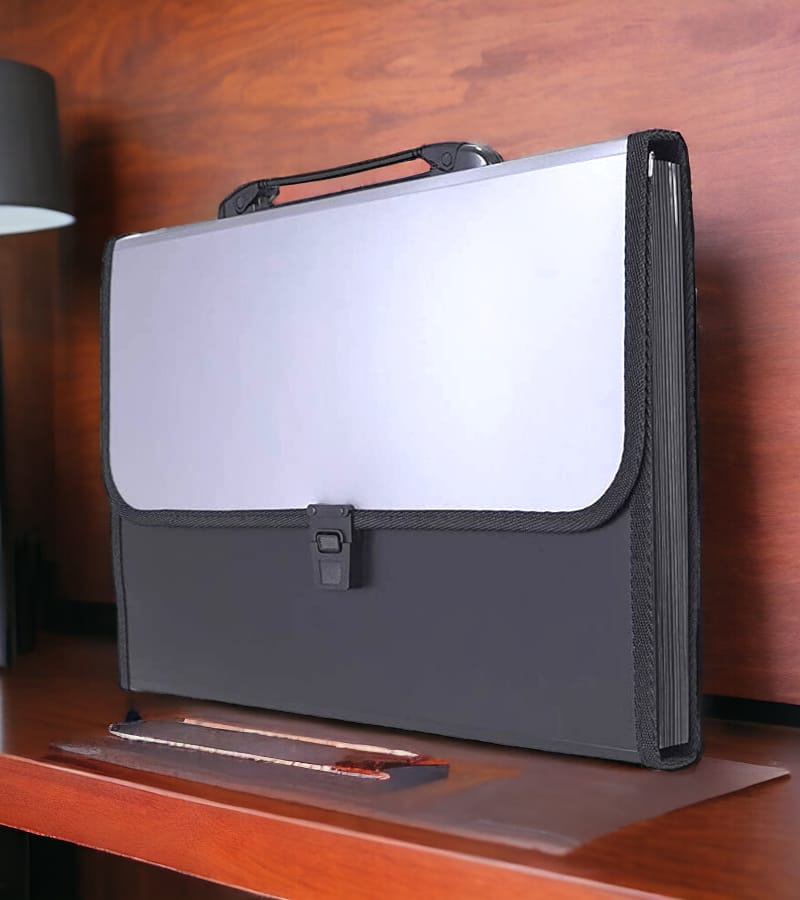 12-Pocket Expanding File Folder with Handle and Buckle Closure - Silver | A4 Size Document Organizer view 3