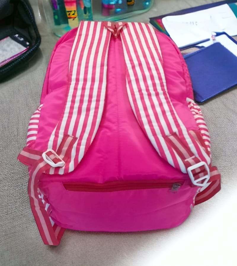 WILDCRAFT Premium Quality Backpack 30L with 3 compartments – School Bags for Students/Adults (Pink) view 4