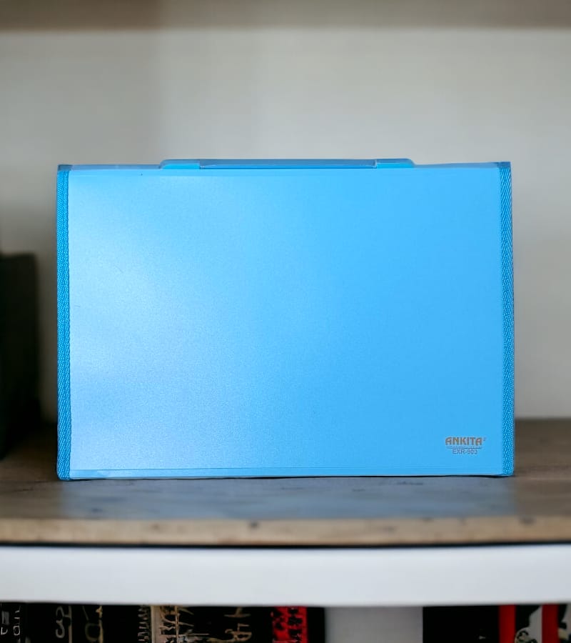 12-Pocket Expanding File Folder with Handle and Buckle Closure - Sky Blue| A4 Size Document Organizer view 5