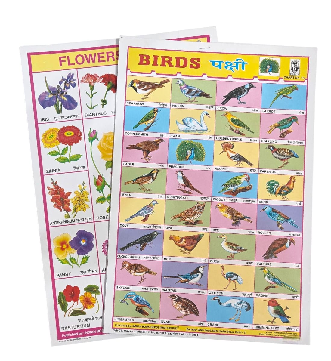 Birds & Flowers Sticker Chart | 4 Sheets, 98 Stickers | Hindi & English Learning Chart for Kids